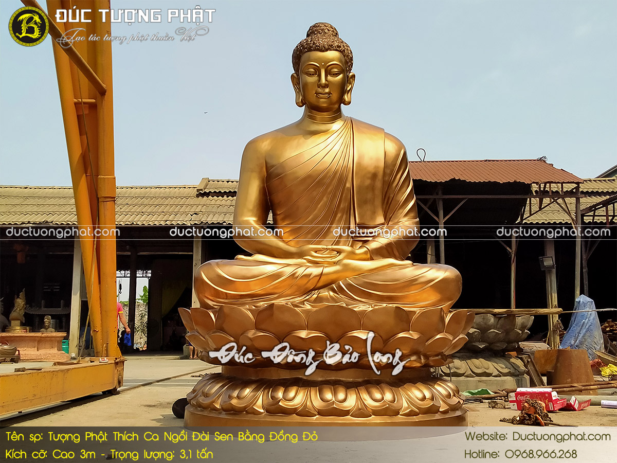 100+ tượng Phật Thích Ca Mâu Ni